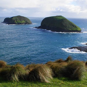 Scenic Cape Grim, NW Tasmania