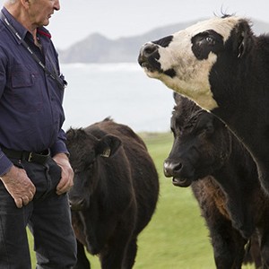 Guy Wigg - Cape Grim Beef Farmer