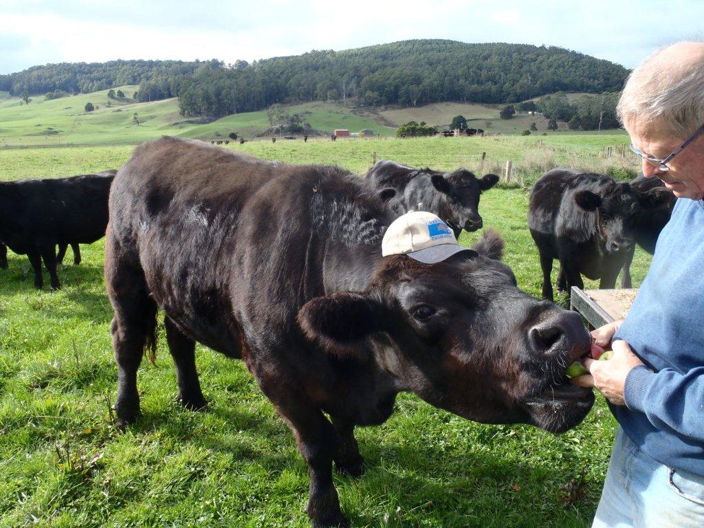 Farmer Feeding