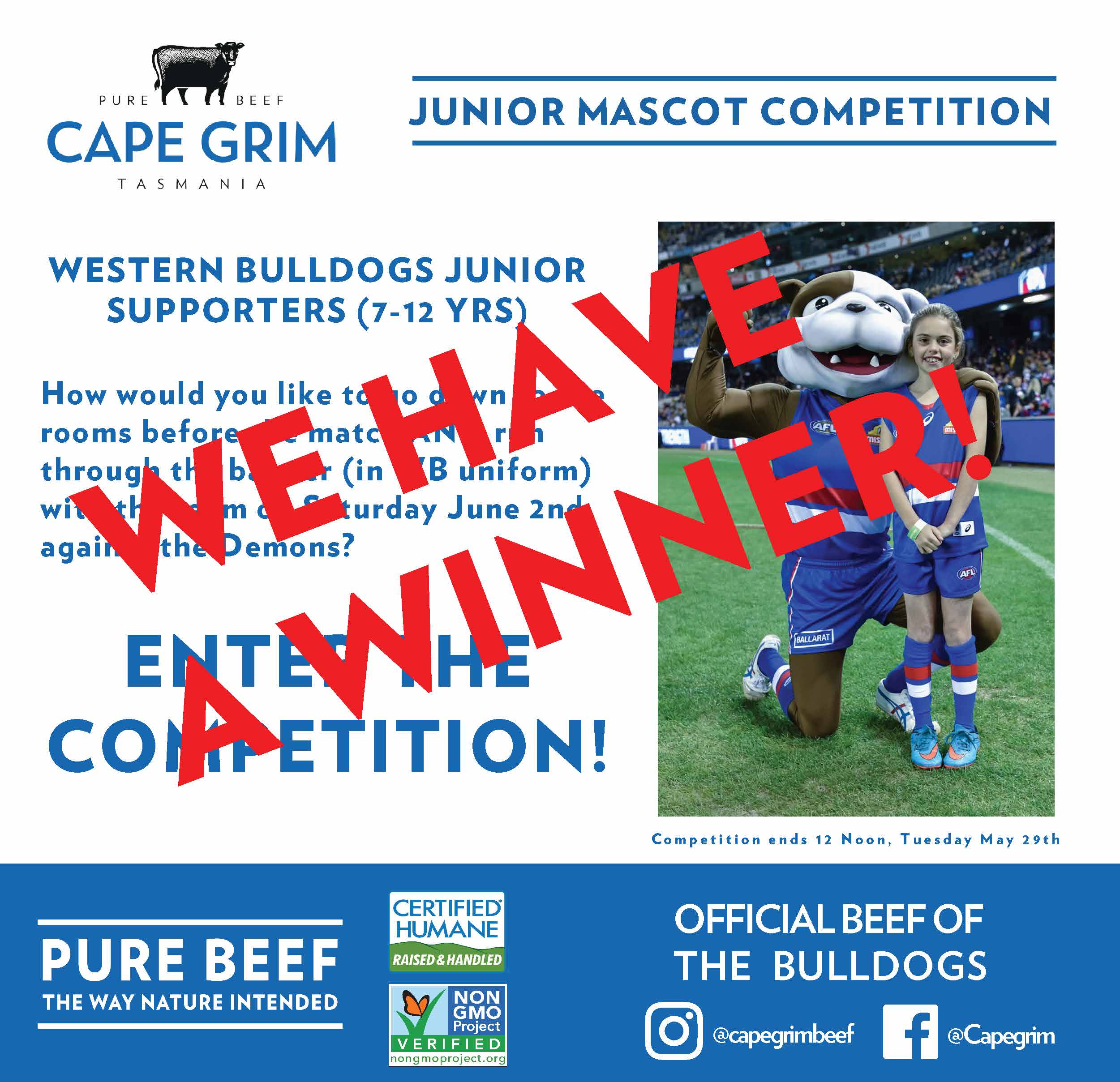 Junior Mascot Competition